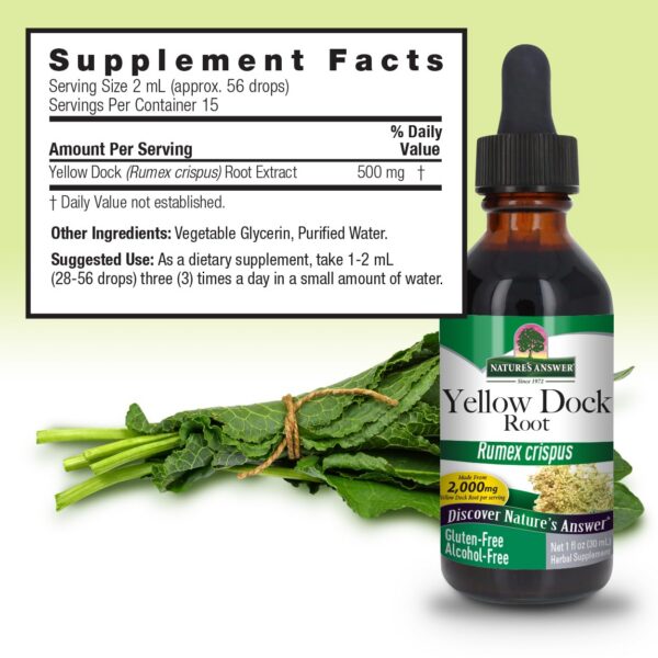 Extracto sin alcohol Nature's Answer para función hepática y detox