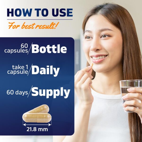 Version 1.0.0 Extracto Vitamatic KSM-66 Ashwagandha soporte energético