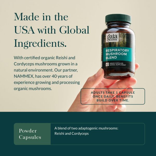 Extractos orgánicos de reishi y cordyceps en suplemento