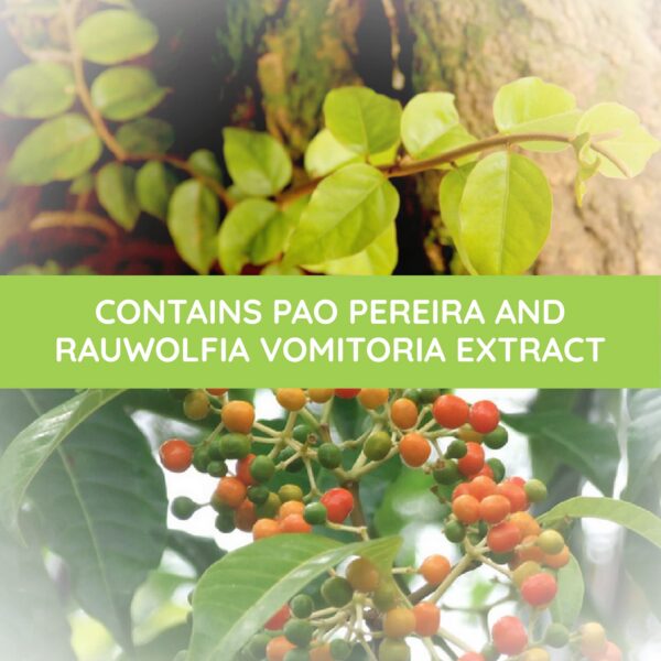 Extractos de Pao Pereira y Rauwolfia Vomitoria