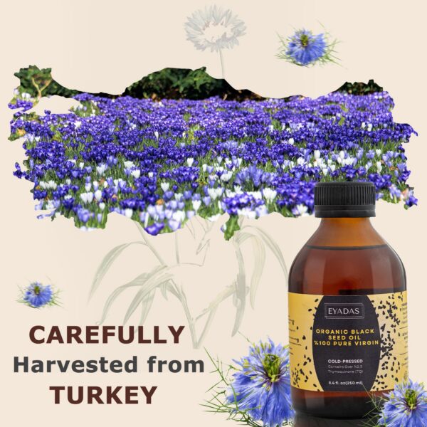 Gota de aceite de Nigella Sativa