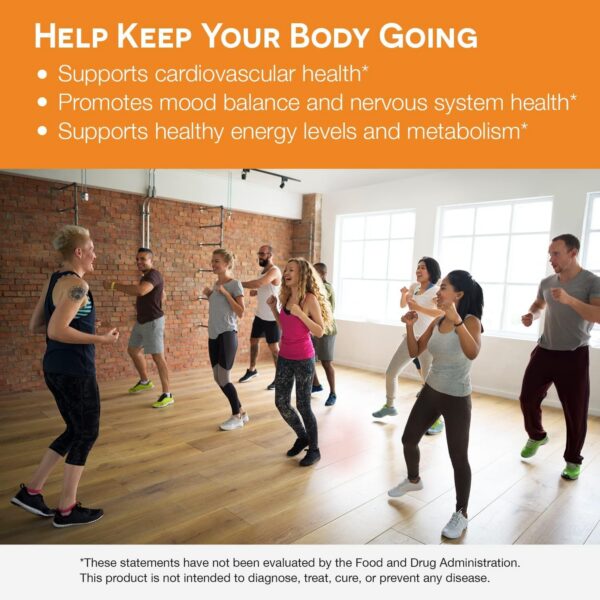 Version 1.0.0 Frasco con tapa de seguridad