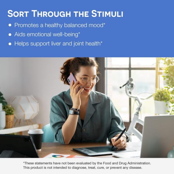 Version 1.0.0 Detalle de sabor baya silvestre