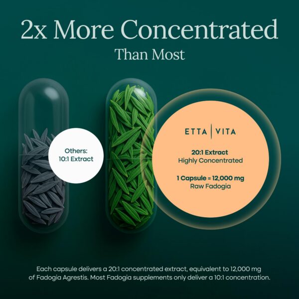 Interior del frasco Fadogia Agrestis