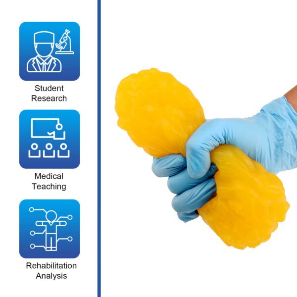 Version 1.0.0 Lado del Fat Replica con textura real de grasa