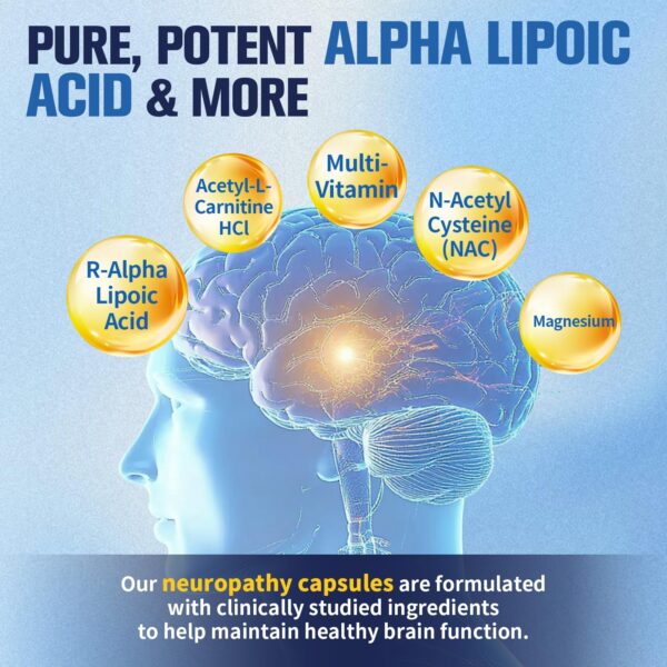 Version 1.0.0 Etiqueta detalle de ingredientes