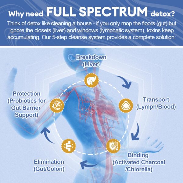Ingredientes del polvo detox Femmetra con cardo mariano y zeolita