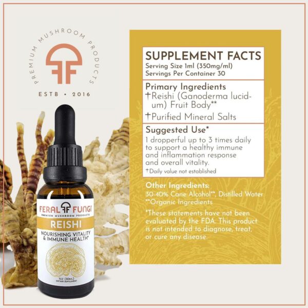 Etiqueta de tintura Reishi Feral Fungi en primer plano