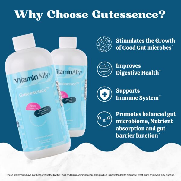 Version 1.0.0 Fibra prebiótica Gutessence etiqueta ingredientes