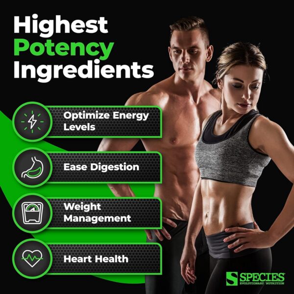 Super potente fibra psyllium para colon saludable