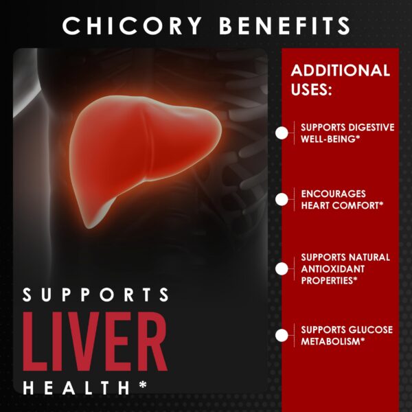 Fibra de raíz de achicoria en polvo y cápsulas AMALTH
