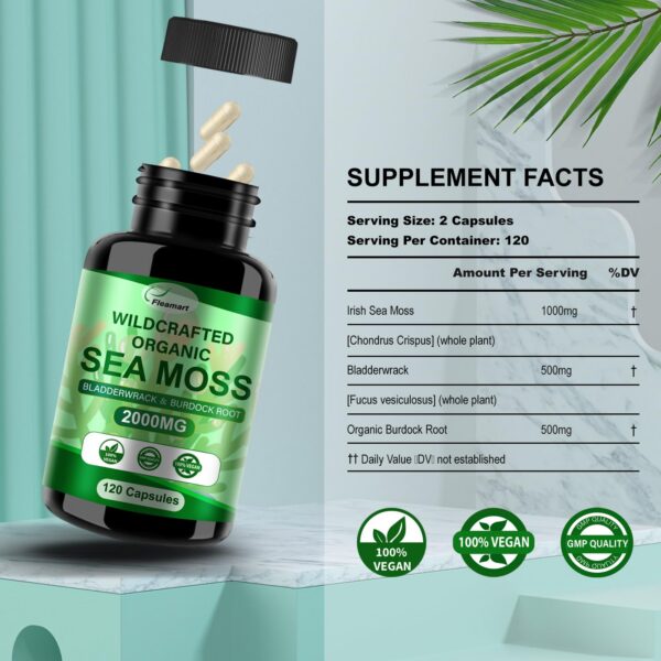 Frasco Fleamart Irish Sea Moss