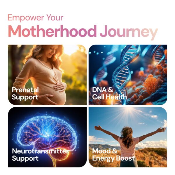 Detalle de ingredientes de FOLATE