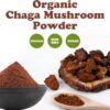Preparación bebida con polvo chaga Food to Live superalimento