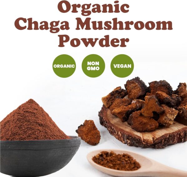 Preparación bebida con polvo chaga Food to Live superalimento