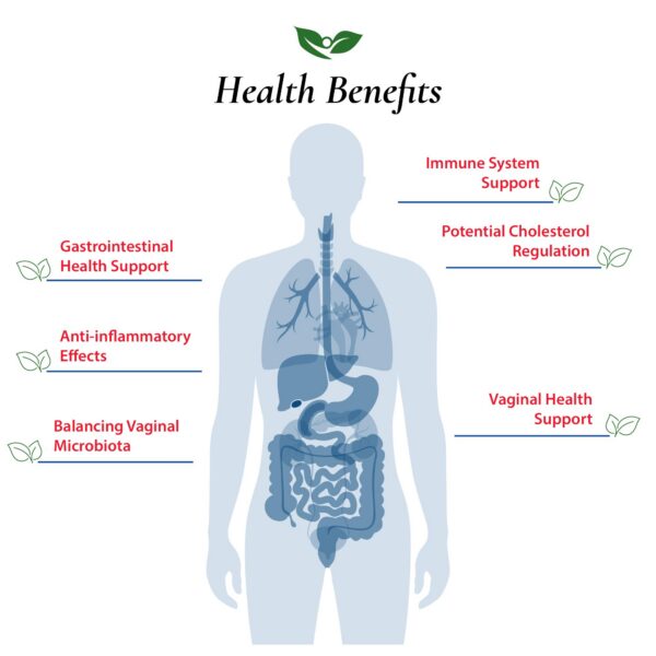 Suplemento polvo Lactobacillus fermentum 100 billones cfu