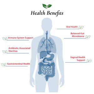 Detalle de polvo probiótico lactobacillus rhamnosus gg para salud digestiva
