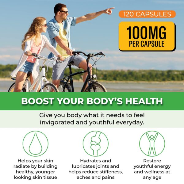 Version 1.0.0 Frasco con cápsulas ForestLeaf