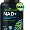Frasco ForestLeaf NAD+ 60 piezas con etiqueta frontal