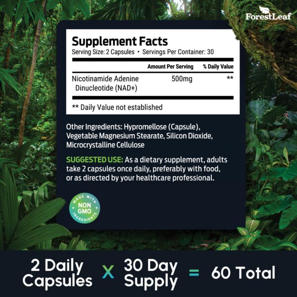 Version 1.0.0 Frasco ForestLeaf NAD+ 60 piezas con tapa de rosca