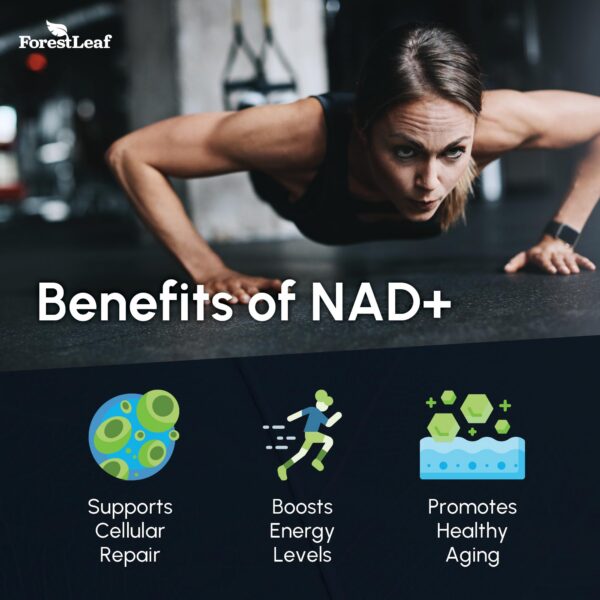 Frasco ForestLeaf NAD+ 60 piezas vista lateral