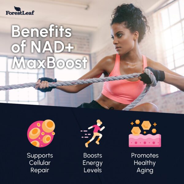 Frasco con cápsulas NAD+ ForestLeaf