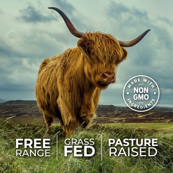 Imagen de órganos y cápsulas