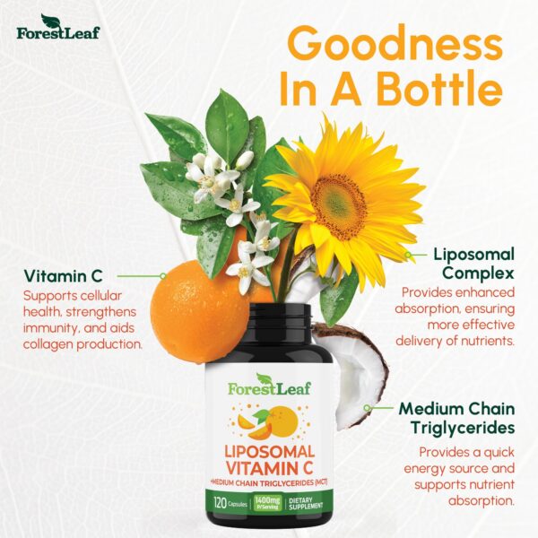 ForestLeaf suplemento vitamina c etiqueta trasera