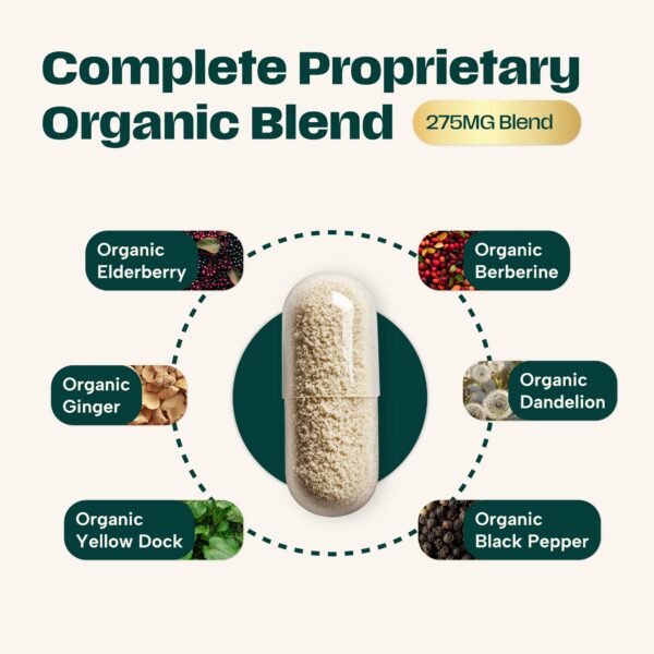 Fórmula de Cápsulas Orgánicas Musgo de Mar con ingredientes naturales