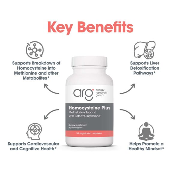 Fórmula profesional de Homocysteine Plus para el bienestar