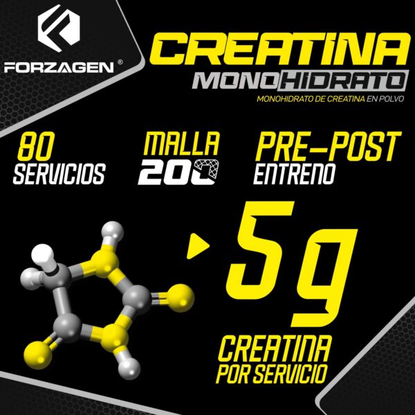 Cucharilla con polvo de creatina