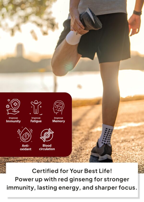 Fotos Korean Food Sanglimwon extracto ginseng rojo