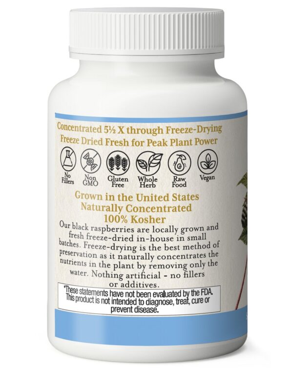 Frambuesas negras liofilizadas frescas en cápsulas