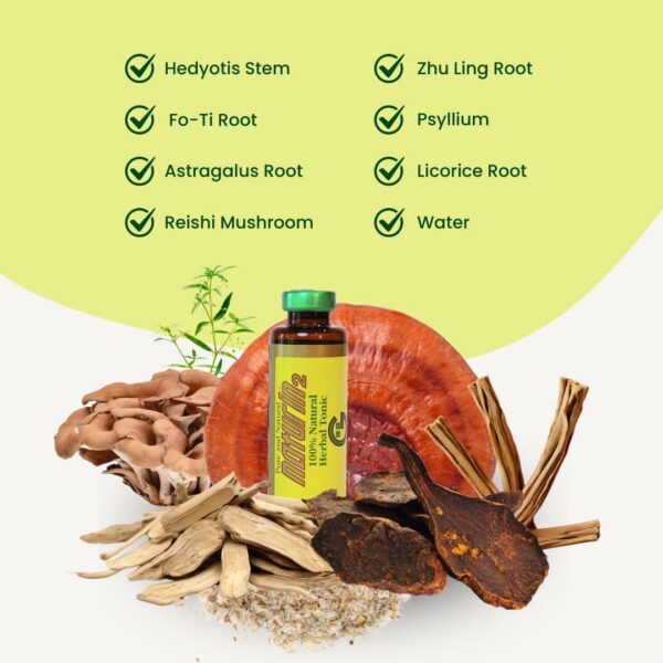 Caja de 6 viales tónico NATURIN2 para bienestar diario