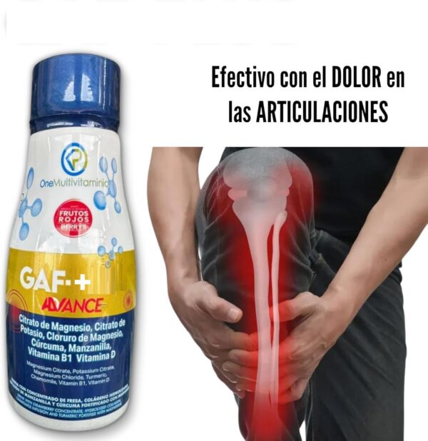 Version 1.0.0 Frasco de 300 ml con sabor a fruta roja