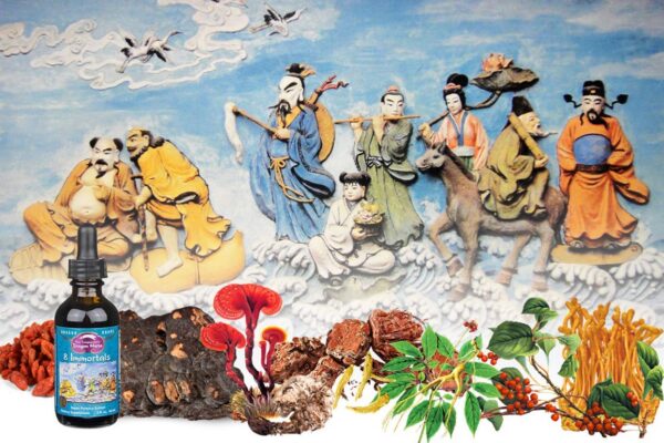 Frasco 8 Immortals Dragon Herbs con etiquetado claro 60 ml