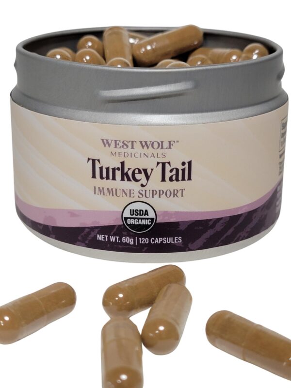 Version 1.0.0 Frasco abierto cápsulas Cola de Pavo alta potencia West Wolf