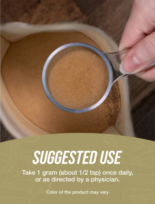 Polvo de hongo Chaga apto para dietas vegetarianas y sin gluten