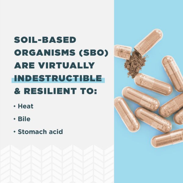 Frasco Ancient Nutrition Probióticos para hombres con 25B CFU