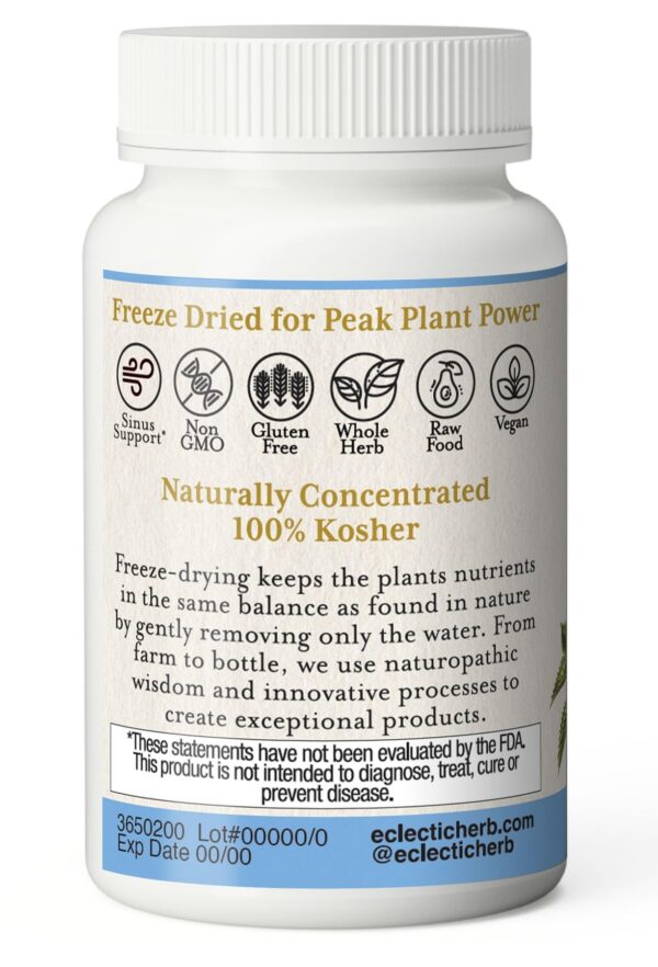 Version 1.0.0 Frasco Eclectic Herb cápsulas naturales ortiga y quercetina