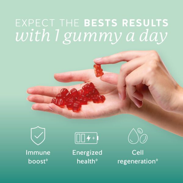 Gomitas Bears with Benefits mostrando textura y forma