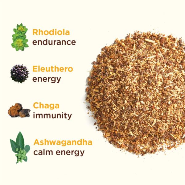 Frasco y caja café adaptogénico hongos Rasa Koffee