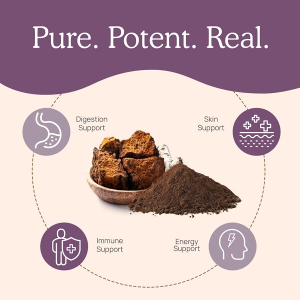 Version 1.0.0 Frasco y caja de cápsulas de chaga para salud digestiva e inmunológica