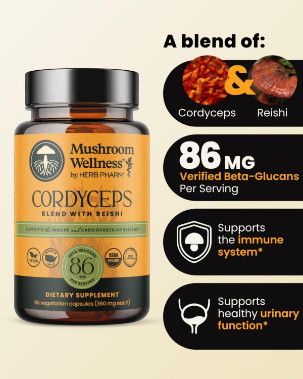 Frasco de cápsulas de Cordyceps y Reishi para apoyo inmunológico
