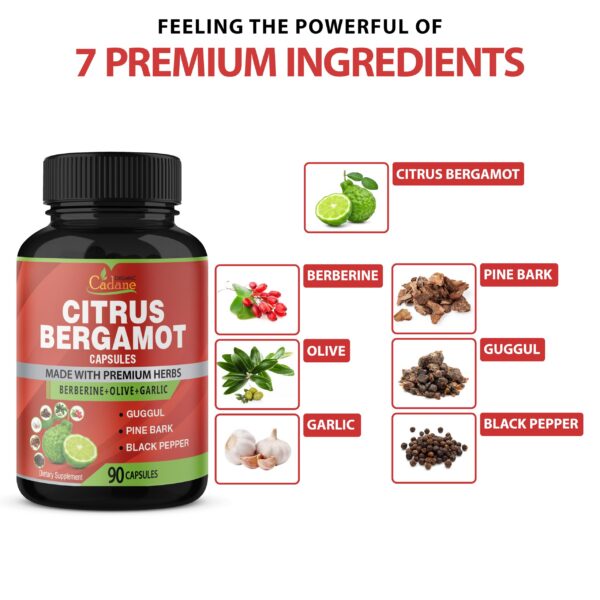 Cápsulas de suplemento orgánico con guggul y corteza de pino