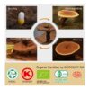 Frasco cápsulas de Ganoderma lucidum Reishi polvo espora