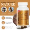 Frasco de cápsulas de hongo Reishi Vita Green antibacteriano natural