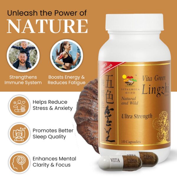 Frasco de cápsulas de hongo Reishi Vita Green antibacteriano natural
