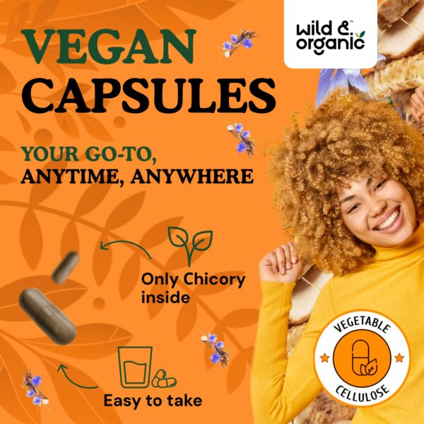 Version 1.0.0 Frasco y cápsulas de suplemento de inulina de achicoria vegano