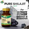 Version 1.0.0 Frasco cápsulas naturales Zandu Shilajit para energía